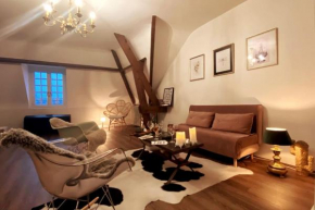 Grand appartement place Saint-Pierre, proche Château de Saumur et bord de Loire
